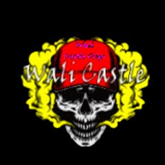 WaliCastleClips