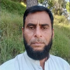 Liaqat Ali