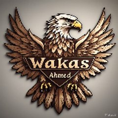 WaqasAhmed