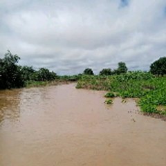 عبدالدين عثمان يوسف
