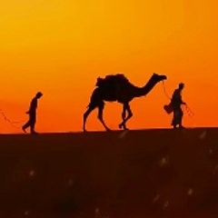 Islam 360