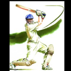 Cricket Lovers