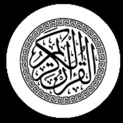 Mahmed Metwaly