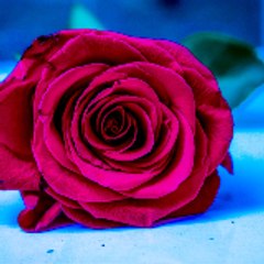 Monawar Javed