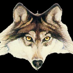 Lonewoolf
