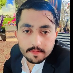 syedtalhasaeed7172