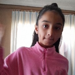 Ziva's world