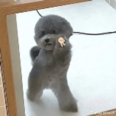 LightReel4U