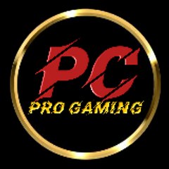 PC Pro Gaming