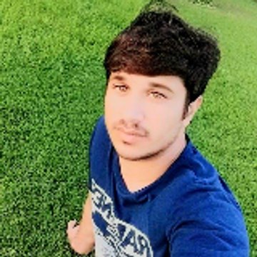 Movies & Sports & Meals