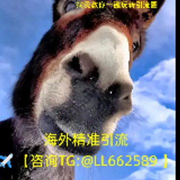 越南招聘引流✈【咨询TG @LL662589 】