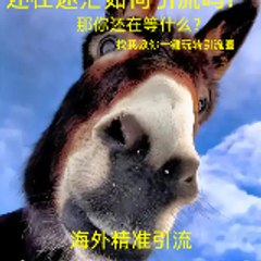台湾交友粉引流✈【咨询TG @LL662589 】