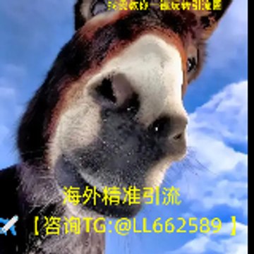 欧美币圈流✈【咨询TG @LL662589 】