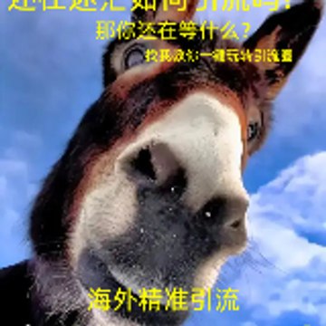 韩国招聘引流咨询TG @LL662589