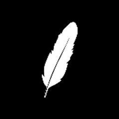 PLUMA TV