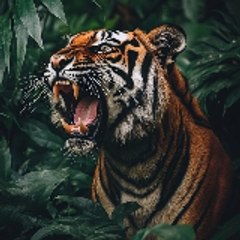 National Wild