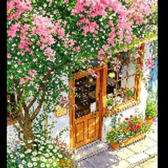 Nousheen Sajjad