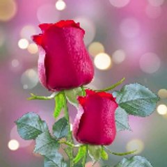Saith Sohail