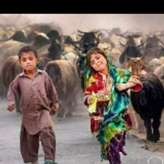 asia.parven