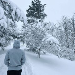 Entertainment football King