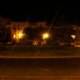 Dominae
