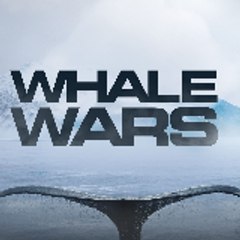 WhaleWarsGermany