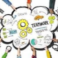 TEAM WORK DAILY MOTION