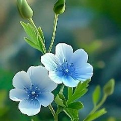 Beauty vilogs