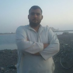 Tasaddaq Ali 447 GB