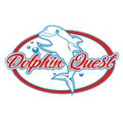 Dolphin Quest