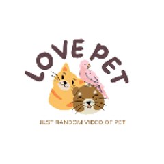 Pet_lover