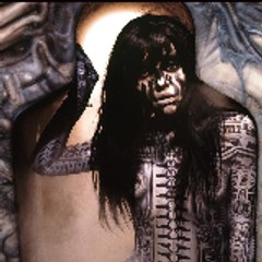 Quiet & Cold Without1