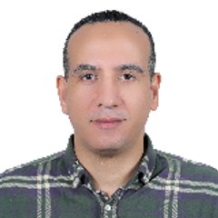 Abdelmonem Gamal