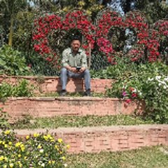 Trilok Singh Negi