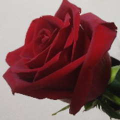 MadeehaSaeedOfficial