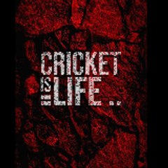 All Time cricket vedios