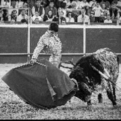 DAVID RAMÍREZ - NOVILLERO BEAS Y TRIGUEROS