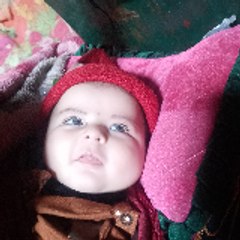 Anaya