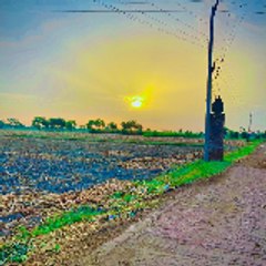🌾 Village Vibes with Ayaz 🌄
