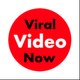 Viral Media 03