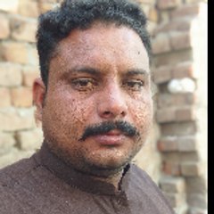 jamil97520