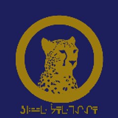 BlueChetaah experience