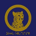 BlueChetaah experience