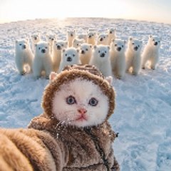 Earth wonders