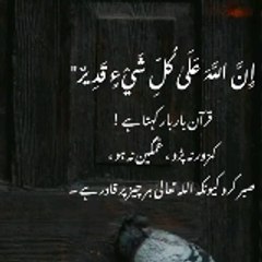 Abbrish zadii