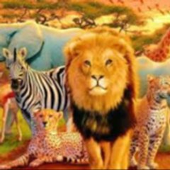 Animal's Story of Ai Videos 📹