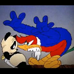 Woody Woodpecker Universe