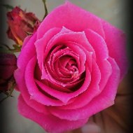 ×͜×Rahman TV 786乂