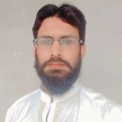Hassan Raza