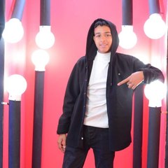 hamed alshawesh